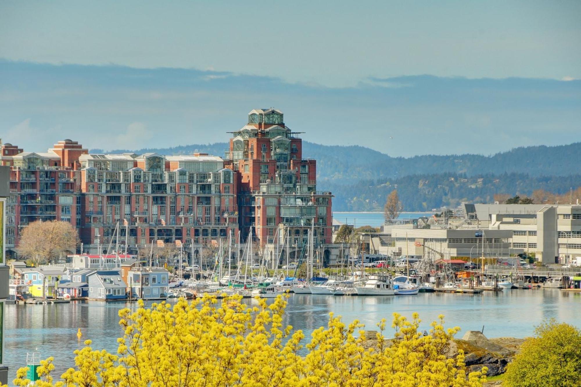 Apartment West Coast Loft With Rooftop Patio + Harbour View